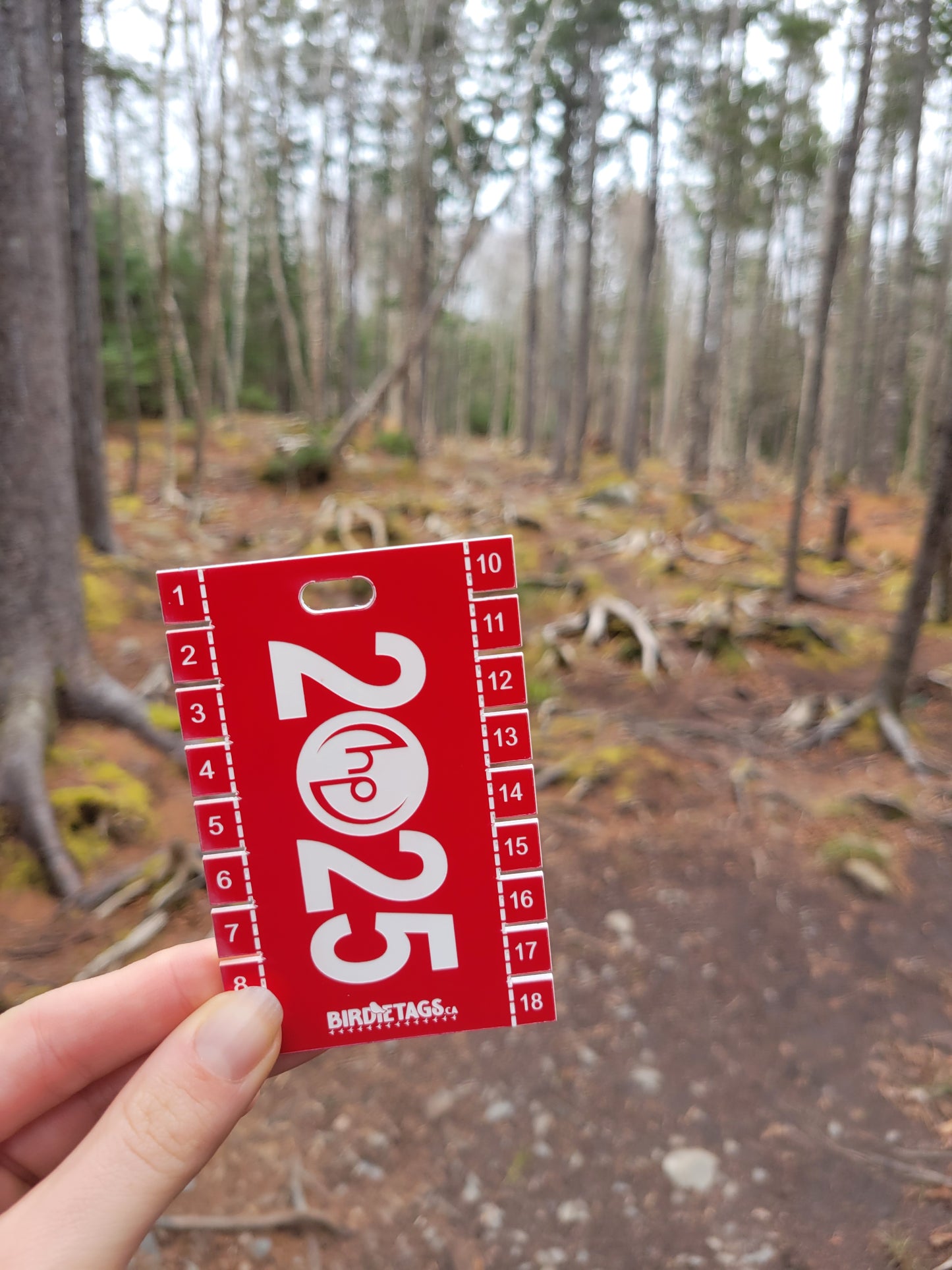 Hammonds Plains Birdie Tag