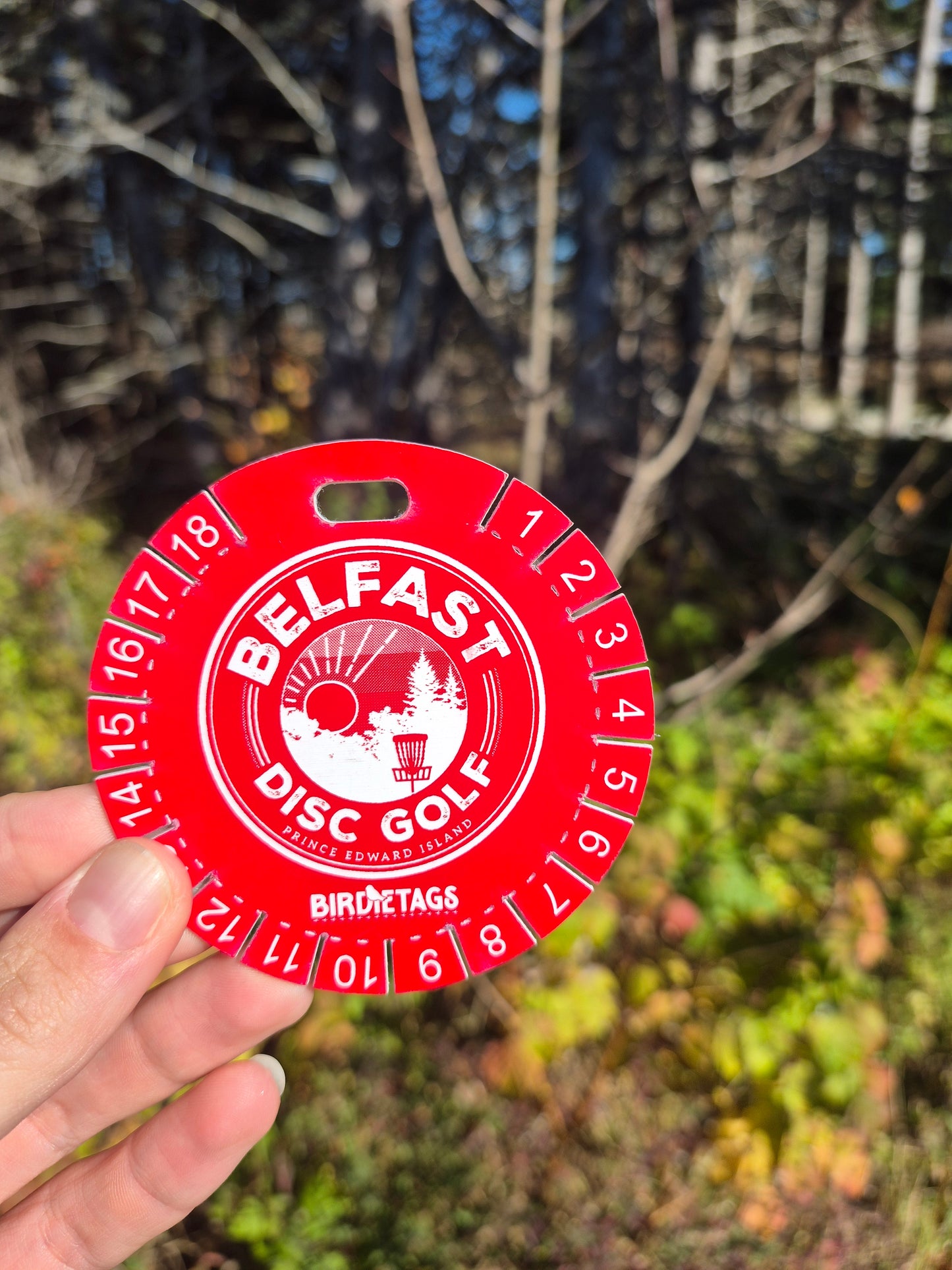 Belfast Birdie Tag