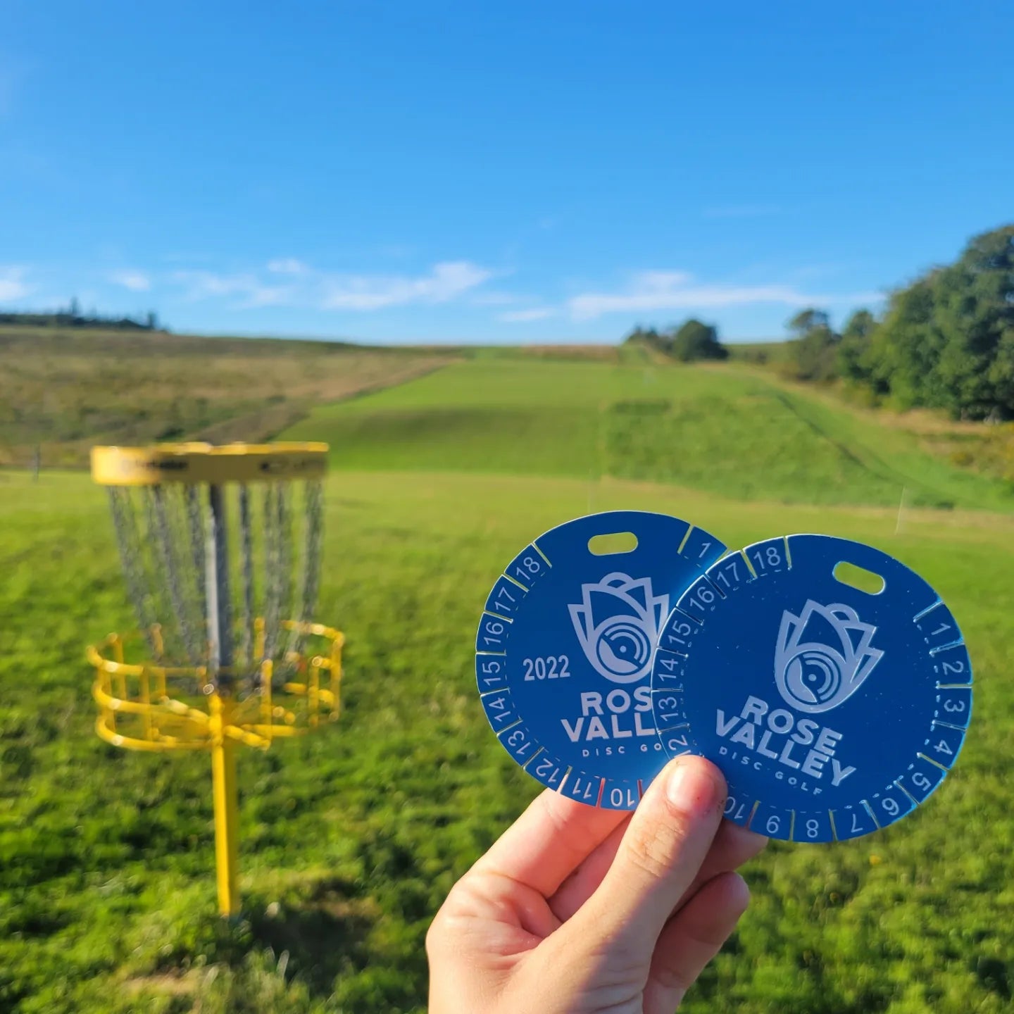 Rose Valley Birdie Tag