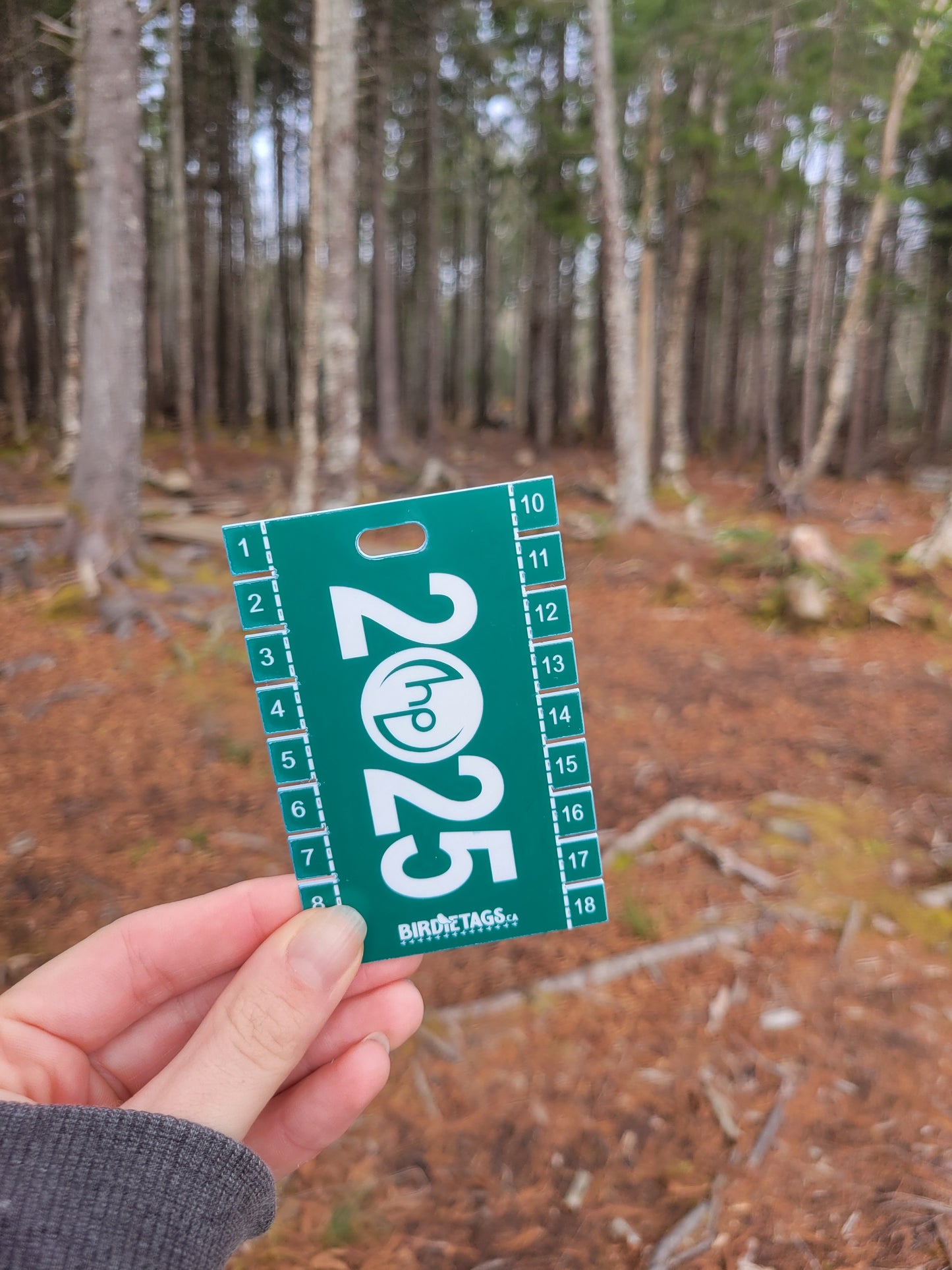 Hammonds Plains Birdie Tag