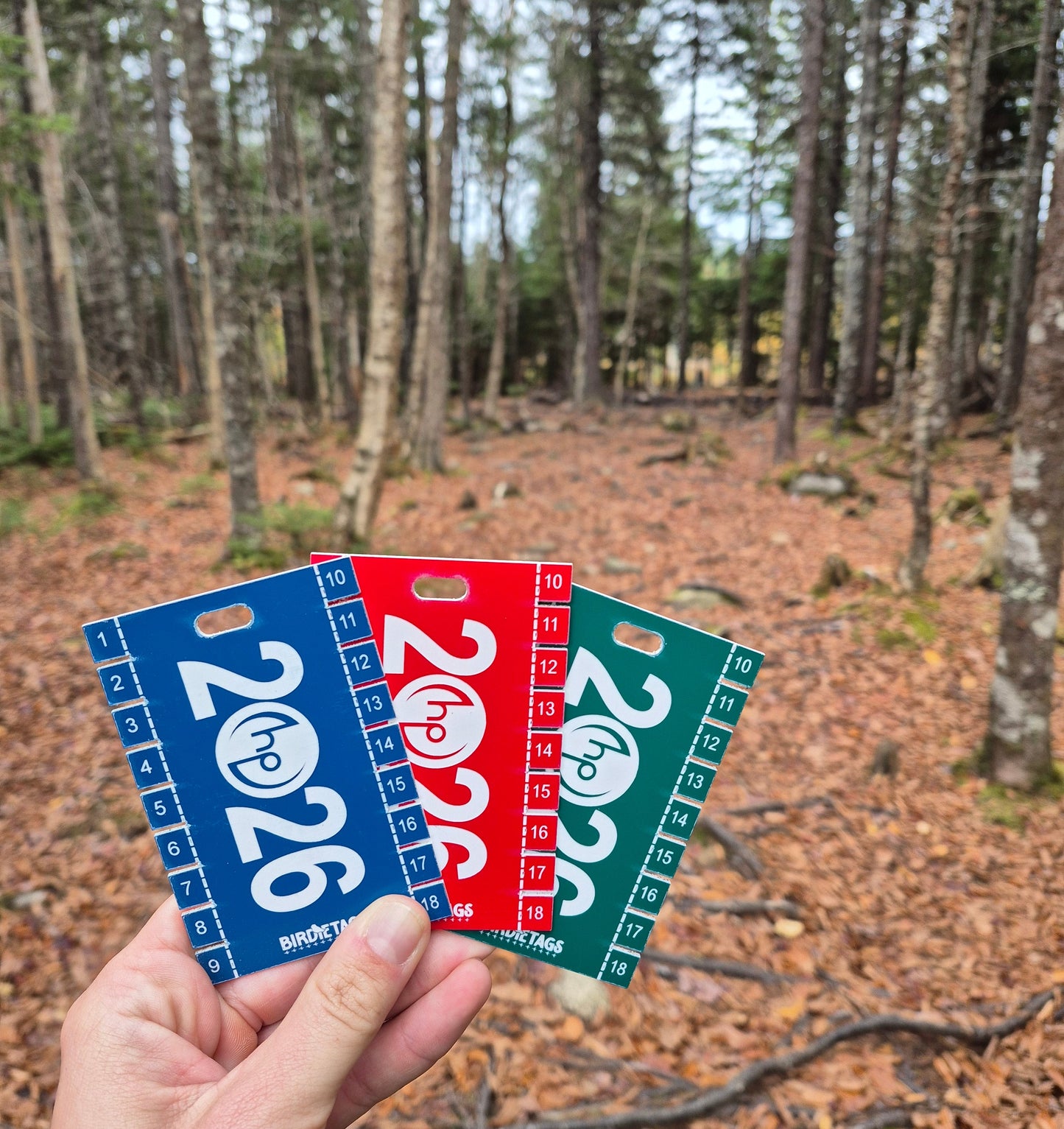 Hammonds Plains Birdie Tag